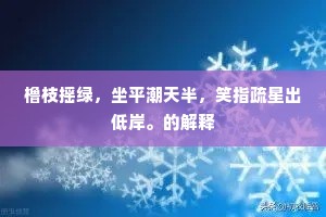 橹枝摇绿，坐平潮天半，笑指疏星出低岸。的解释