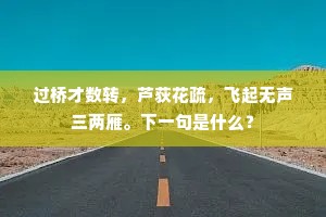过桥才数转，芦荻花疏，飞起无声三两雁。下一句是什么？