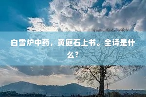 白雪炉中药，黄庭石上书。全诗是什么？