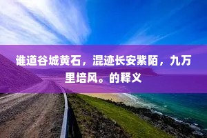 谁道谷城黄石，混迹长安紫陌，九万里培风。的释义