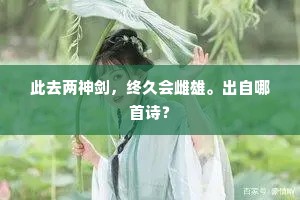 此去两神剑，终久会雌雄。出自哪首诗？