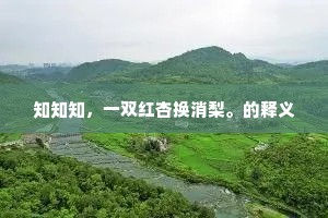 知知知，一双红杏换消梨。的释义