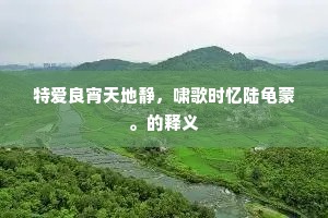 特爱良宵天地静，啸歌时忆陆龟蒙。的释义
