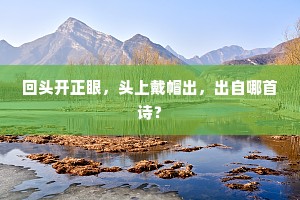 回头开正眼，头上戴帽出，出自哪首诗？
