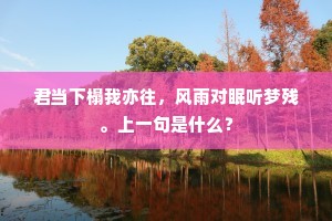 君当下榻我亦往，风雨对眠听梦残。上一句是什么？