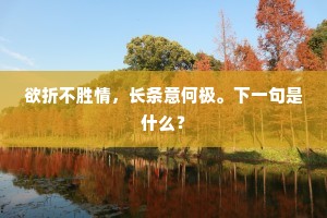欲折不胜情，长条意何极。下一句是什么？