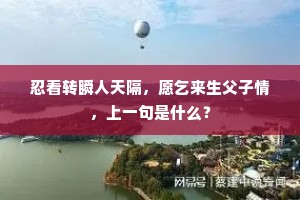 忍看转瞬人天隔，愿乞来生父子情，上一句是什么？