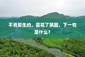 不负前生约，昙花了夙因，下一句是什么？