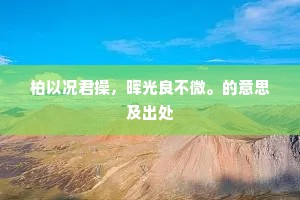柏以况君操，晖光良不微。的意思及出处