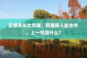 灵根来从太华峰，阿谁移入盆池中。上一句是什么？