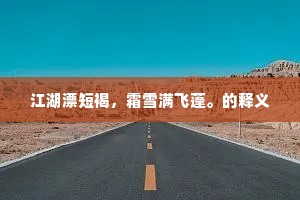 江湖漂短褐，霜雪满飞蓬。的释义