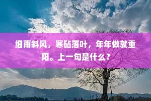 细雨斜风，寒砧落叶，年年做就重阳。上一句是什么？