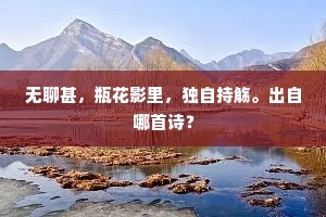 无聊甚，瓶花影里，独自持觞。出自哪首诗？