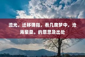 流光，迁移弹指，看几度梦中，沧海柴桑。的意思及出处