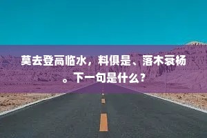莫去登高临水，料俱是、落木衰杨。下一句是什么？