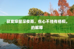 寂寞绿窗深夜雨，伤心不独有梧桐。的解释