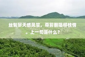 丝鬓寥天感凤笙，尊前翻唱柳枝情。上一句是什么？