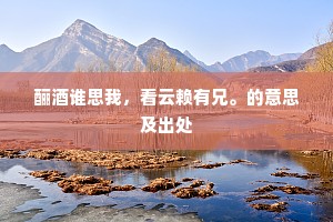 酾酒谁思我，看云赖有兄。的意思及出处