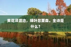 黄花须澹泊，绿叶总萧森。全诗是什么？