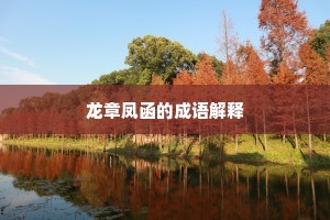 龙章凤函的成语解释