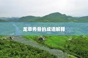 龙章秀骨的成语解释