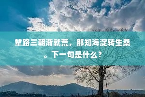 辇路三朝渐就荒，那知海淀转生桑。下一句是什么？