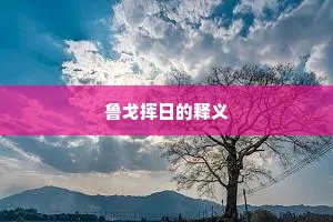 鲁戈挥日的释义