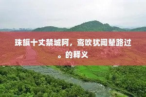 珠旗十丈禁城阿,鸾吹犹闻辇路过。的释义 珠旗十丈禁城阿,鸾吹犹闻辇路过。的释义