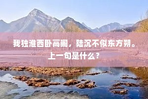我独淮西卧高阁，陆沉不似东方朔。上一句是什么？