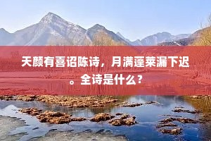 天颜有喜诏陈诗，月满蓬莱漏下迟。全诗是什么？