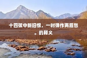 十四弦中新旧恨，一时弹作两眉愁。的释义