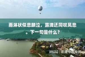 雨淋状似悲麟泣，露滴还同叹凤悲。下一句是什么？