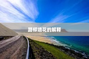 路柳墙花的解释
