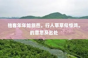 独客年年如旅燕，行人草草似惊鸿。的意思及出处