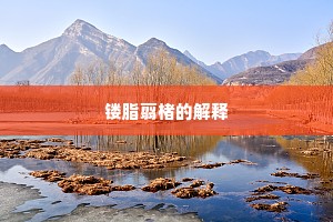 镂脂翦楮的解释