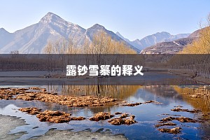 露钞雪纂的释义