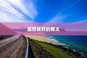 露胆披肝的释义