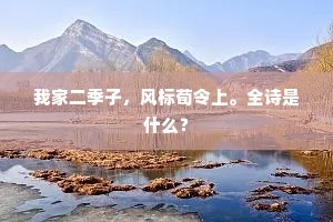 我家二季子，风标荀令上。全诗是什么？