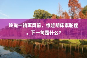 玲珑一骑薰风前，惊起胡床橐驼座。下一句是什么？
