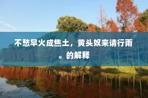不愁旱火成焦土，黄头奴来请行雨。的解释