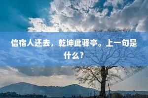 信宿人还去，乾坤此驿亭。上一句是什么？