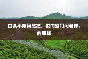 白头不奈间愁搅，拟向空门问老禅。的解释