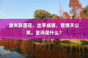 激矢跃莲花，出手成骁，暂博天公笑。全诗是什么？