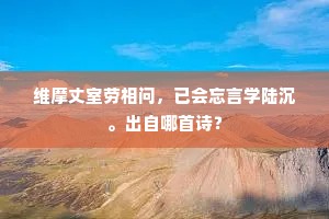 维摩丈室劳相问，已会忘言学陆沉。出自哪首诗？