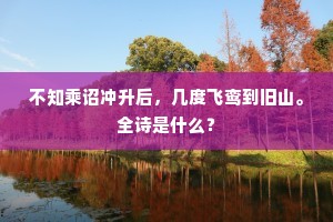 不知乘诏冲升后，几度飞鸾到旧山。全诗是什么？