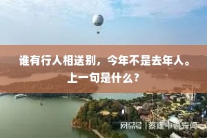 谁有行人相送别，今年不是去年人。上一句是什么？