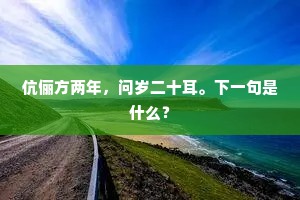 伉俪方两年，问岁二十耳。下一句是什么？