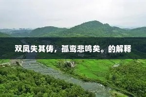 双凤失其俦,孤鸾悲鸣矣。的解释 双凤失其俦,孤鸾悲鸣矣。的解释