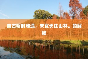 自古明时难遇，未宜长往山林。的解释