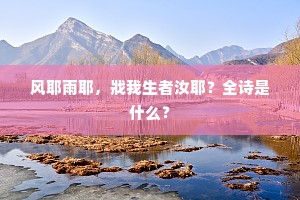 风耶雨耶，戕我生者汝耶？全诗是什么？